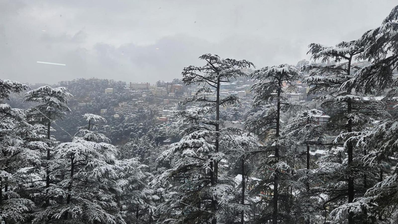 Mountain Zest- Simla Royale Near Mall Road Free Pickup From Railway Station Simla 外观 照片